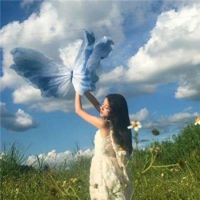 花楸故事 封面